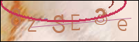 Registration Image
