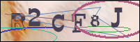Registration Image