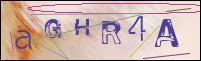 Registration Image
