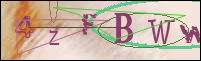Registration Image
