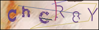 Registration Image