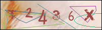 Registration Image