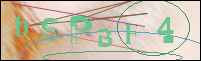 Registration Image