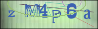 Registration Image