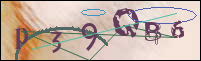 Registration Image
