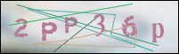 Registration Image