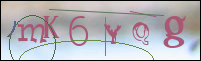 Registration Image