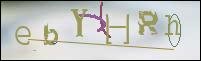 Registration Image