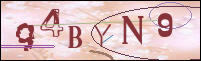 Registration Image
