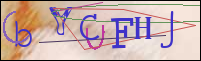 Registration Image