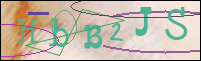 Registration Image