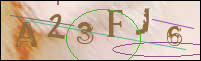 Registration Image