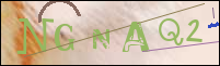 Registration Image