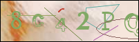 Registration Image