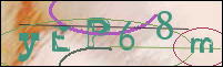 Registration Image