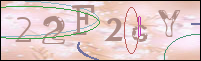 Registration Image